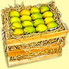 Mango Peti - 4 Dozen